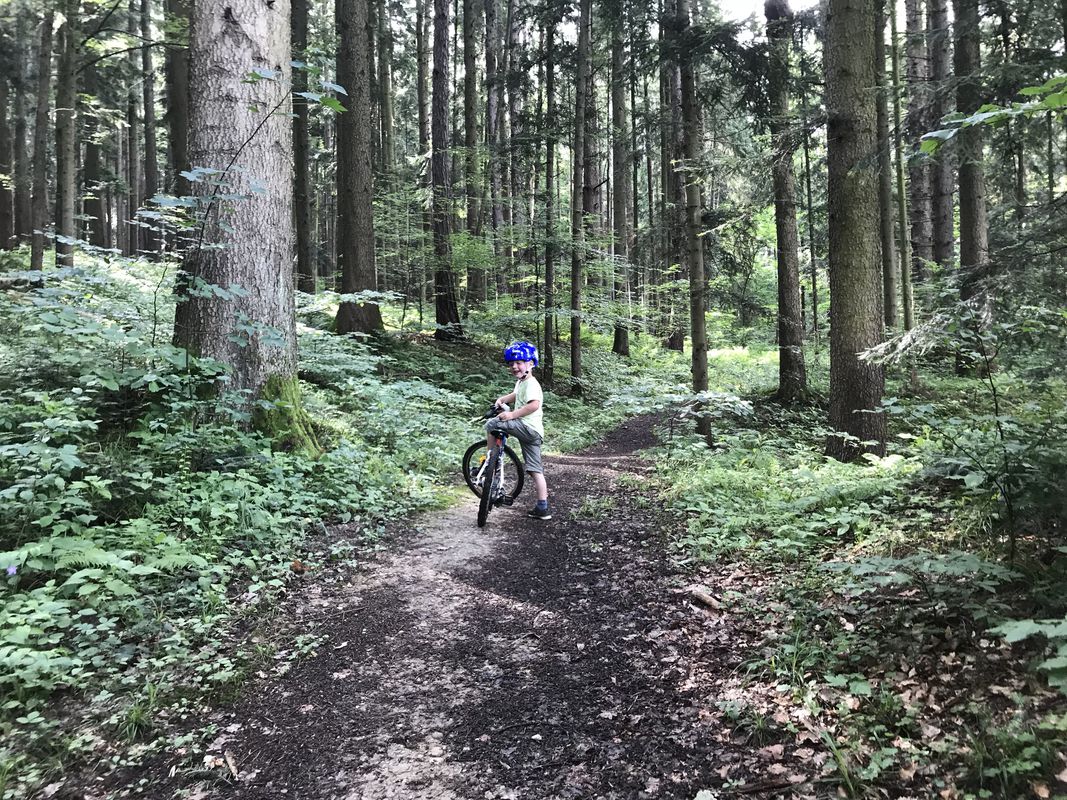 Moderate Samstag Track In Stattegg