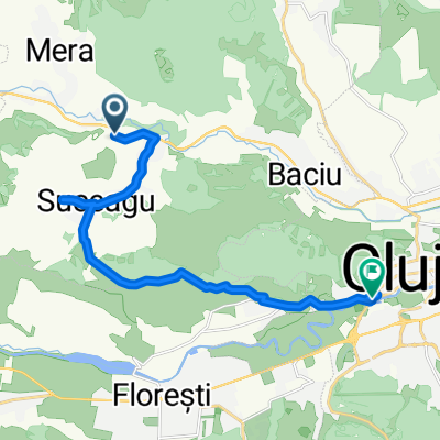 suceag - Grigorescu