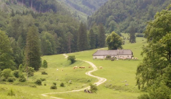Foto 2 der Bikemap-Route "Blumauer Alm Breitenau Molln ab GH Steiner Kraml"
