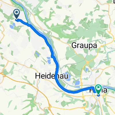 kamelien zu pirna