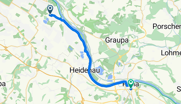 kamelien zu pirna