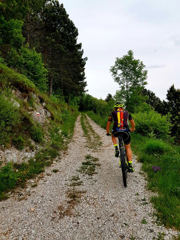 Sportland Marathon Bike