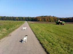 Highlight 3 along the Bikemap route "Köln_Linz am Rhein "