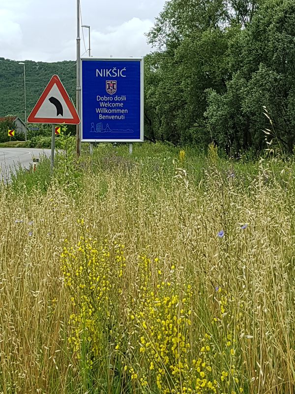 Pluzine to Niksic