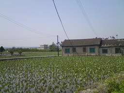 Atrakcja 12 na trasie Bikemap „苗栗縣鄉道25與27全覽”