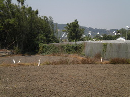 Atrakcja 17 na trasie Bikemap „苗栗縣鄉道25與27全覽”