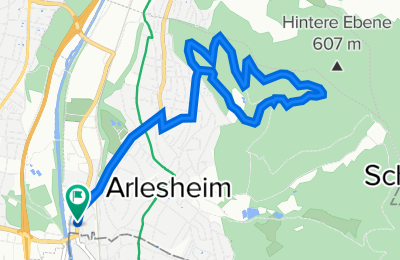 Route in der Bikemap App öffnen