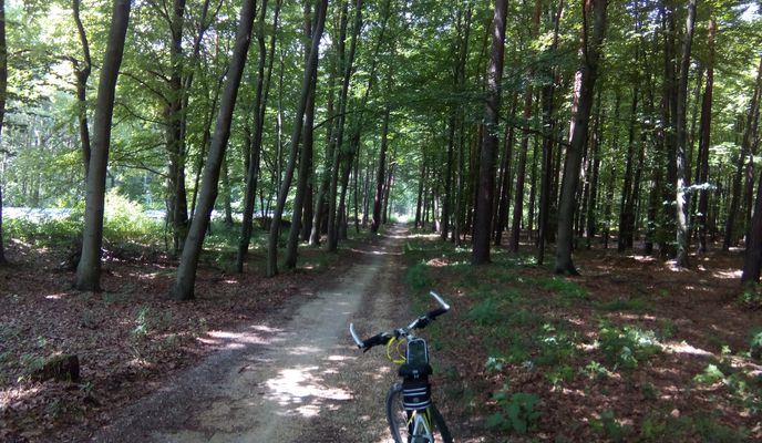 Photo 1 of the Bikemap route "2018/15 Burg Lipowiec, Ruins of Castle Lipowiec"