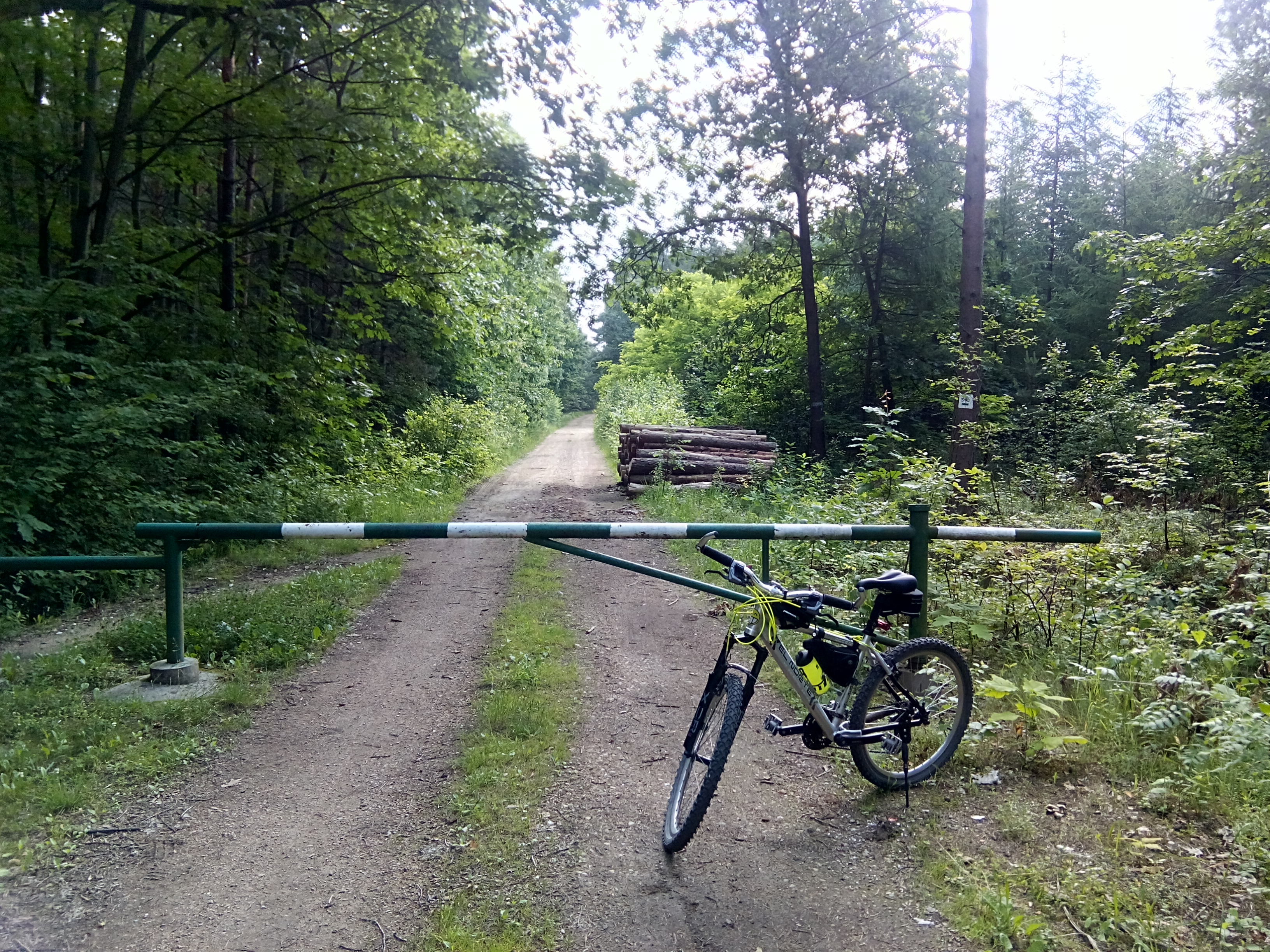 Highlight 1 along the Bikemap route "2018/15 Burg Lipowiec, Ruins of Castle Lipowiec"