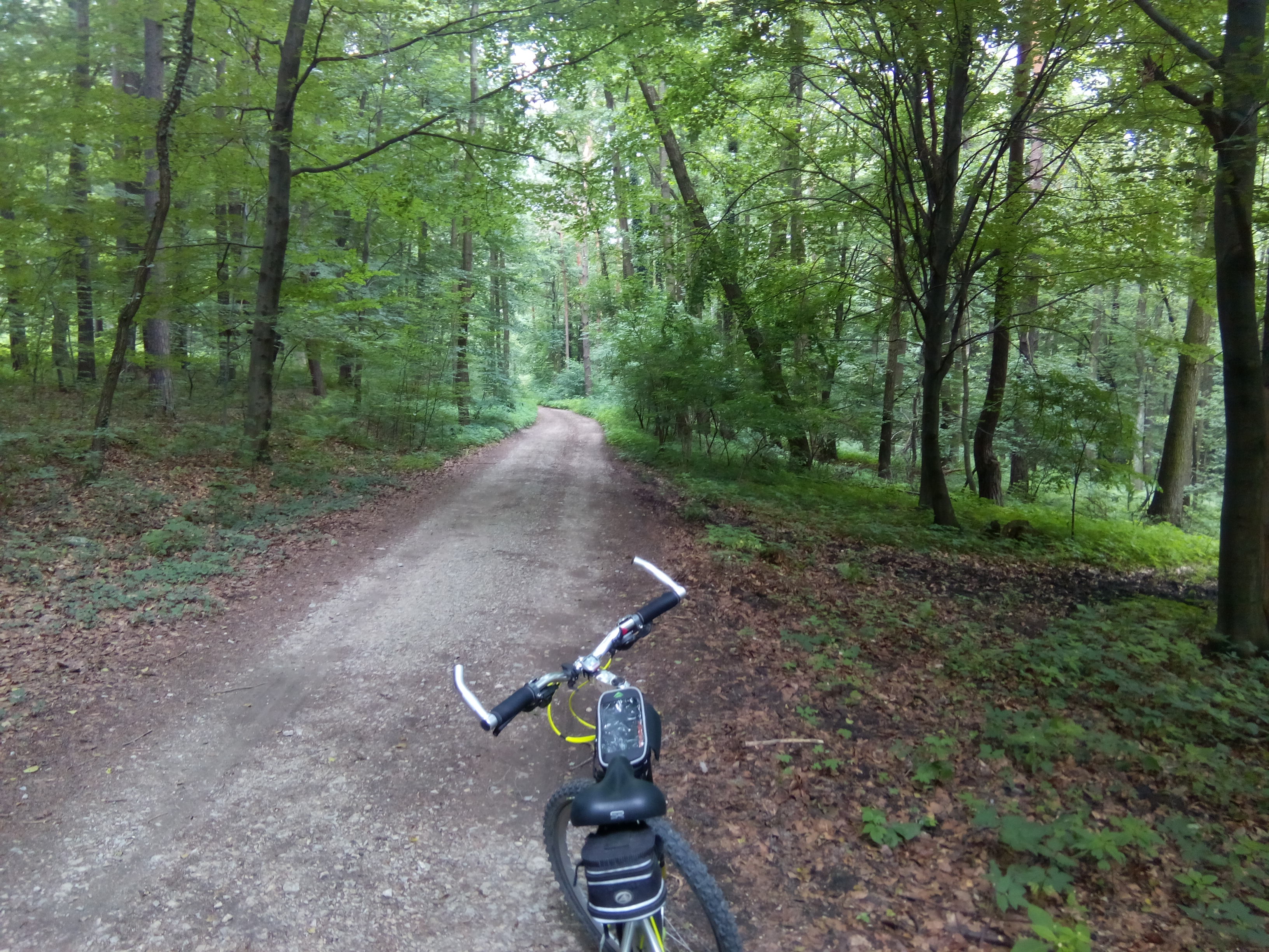 Highlight 3 along the Bikemap route "2018/15 Burg Lipowiec, Ruins of Castle Lipowiec"