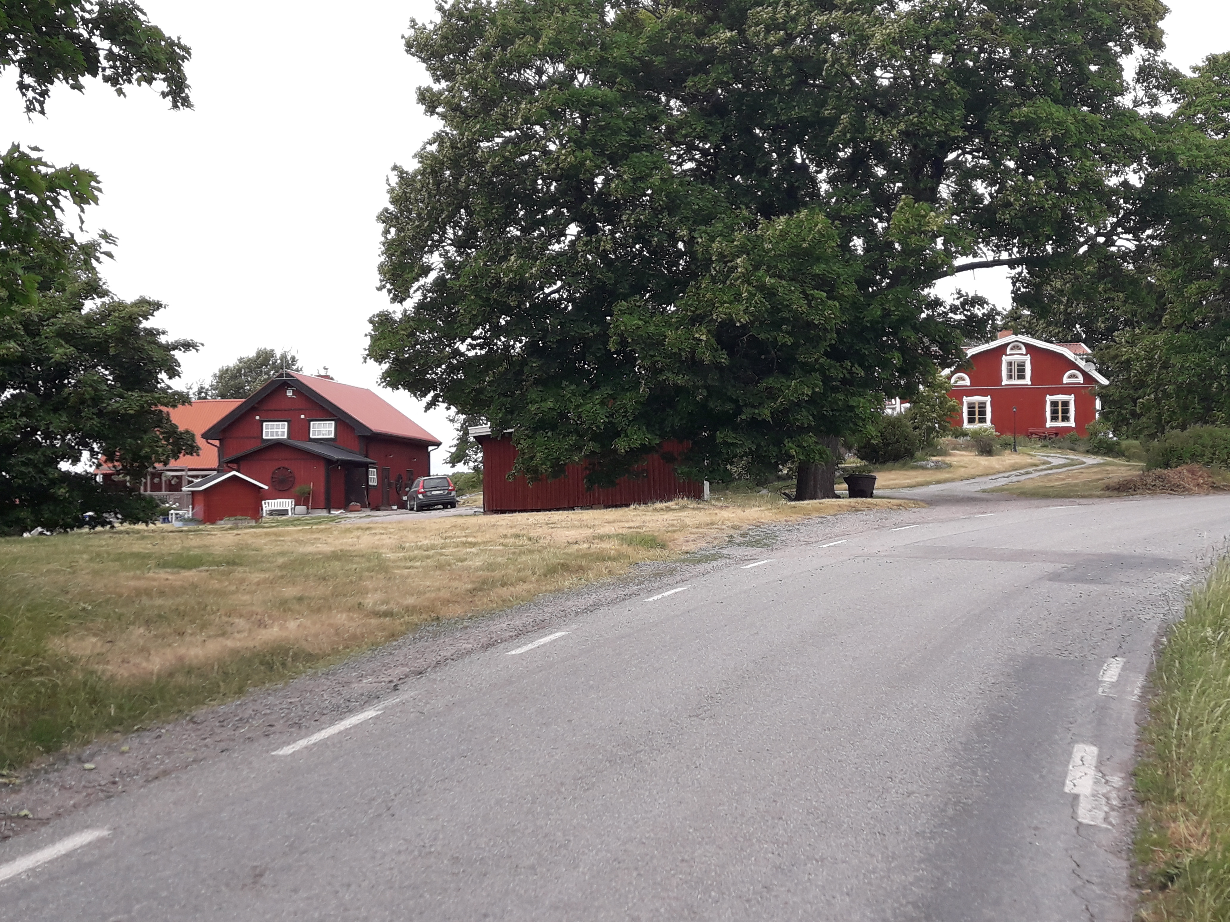 Sverigeleden