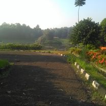LIPI - cikaret via bek-ang
