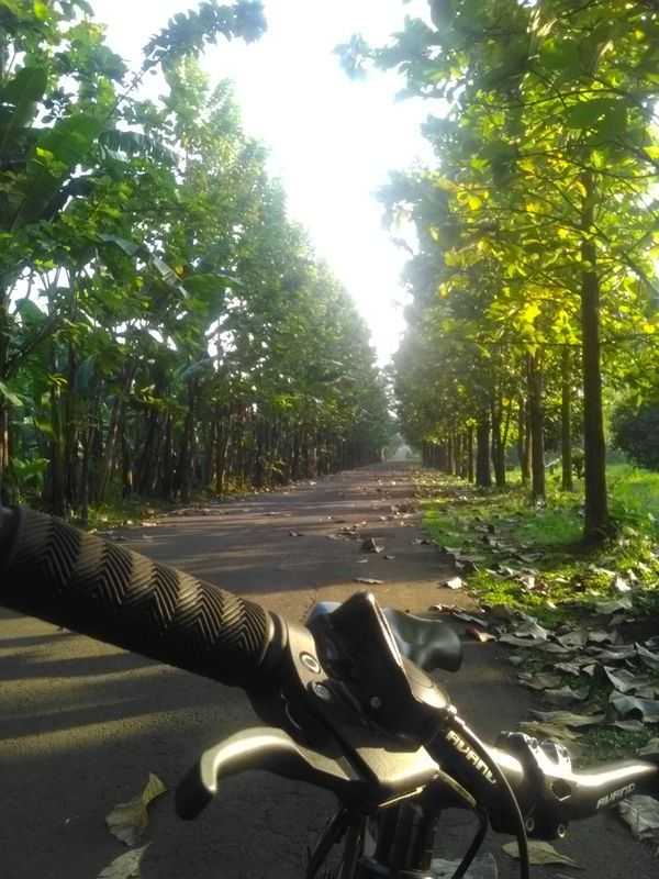 LIPI - cikaret via bek-ang