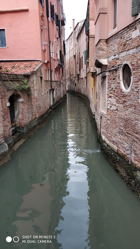 Venice, no bike