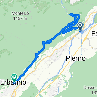 annunciata - erbanno