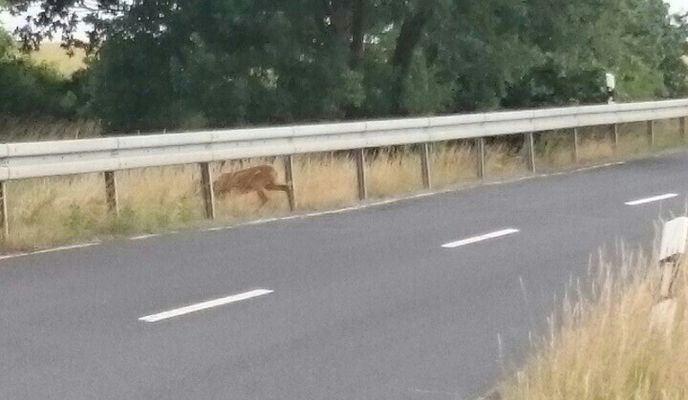 Photo 1 of the Bikemap route "Wenn alles nervt 😔"