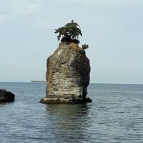 Photo 8 of the Bikemap route "Vancouver Sunny Tour" Photo 8 of the Bikemap route "Vancouver Sunny Tour"