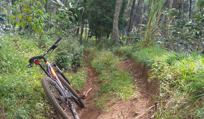 Photo 2 of the Bikemap route "trek down hill jalur cikulumprung"