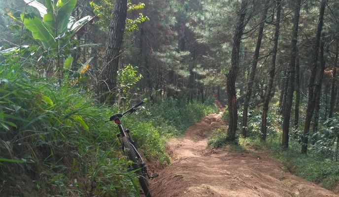 Photo 1 of the Bikemap route "trek down hill jalur cikulumprung"