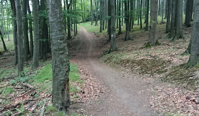 Foto 1 der Bikemap-Route "Bratislava ahoj, biely kríž, baba, Zochova chata"