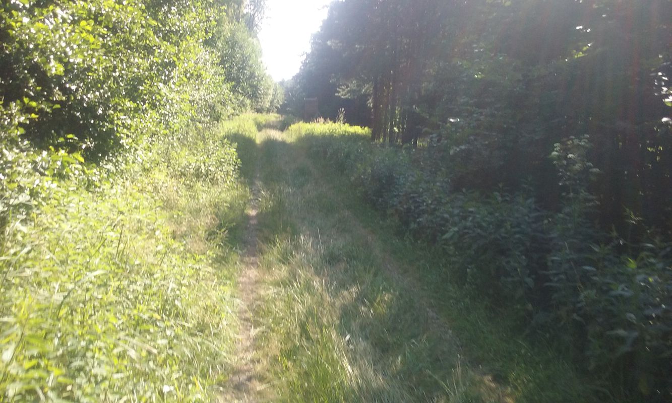 Rasochy Cup hledání trasy