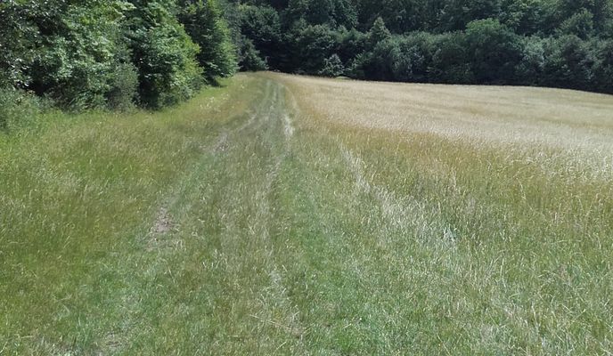 Photo 2 of the Bikemap route "szilvásvárad- hegytető"