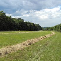 hegytető- szilvásvárad