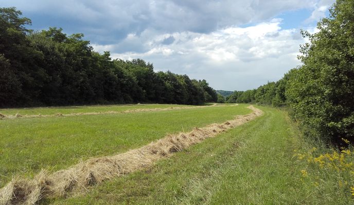 Photo 1 of the Bikemap route "hegytető- szilvásvárad"