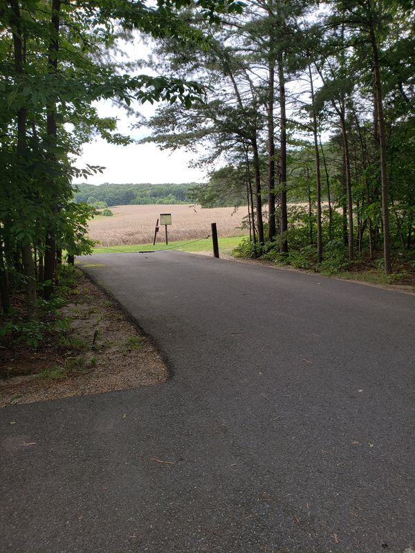Chancelorsville Battlefield Park