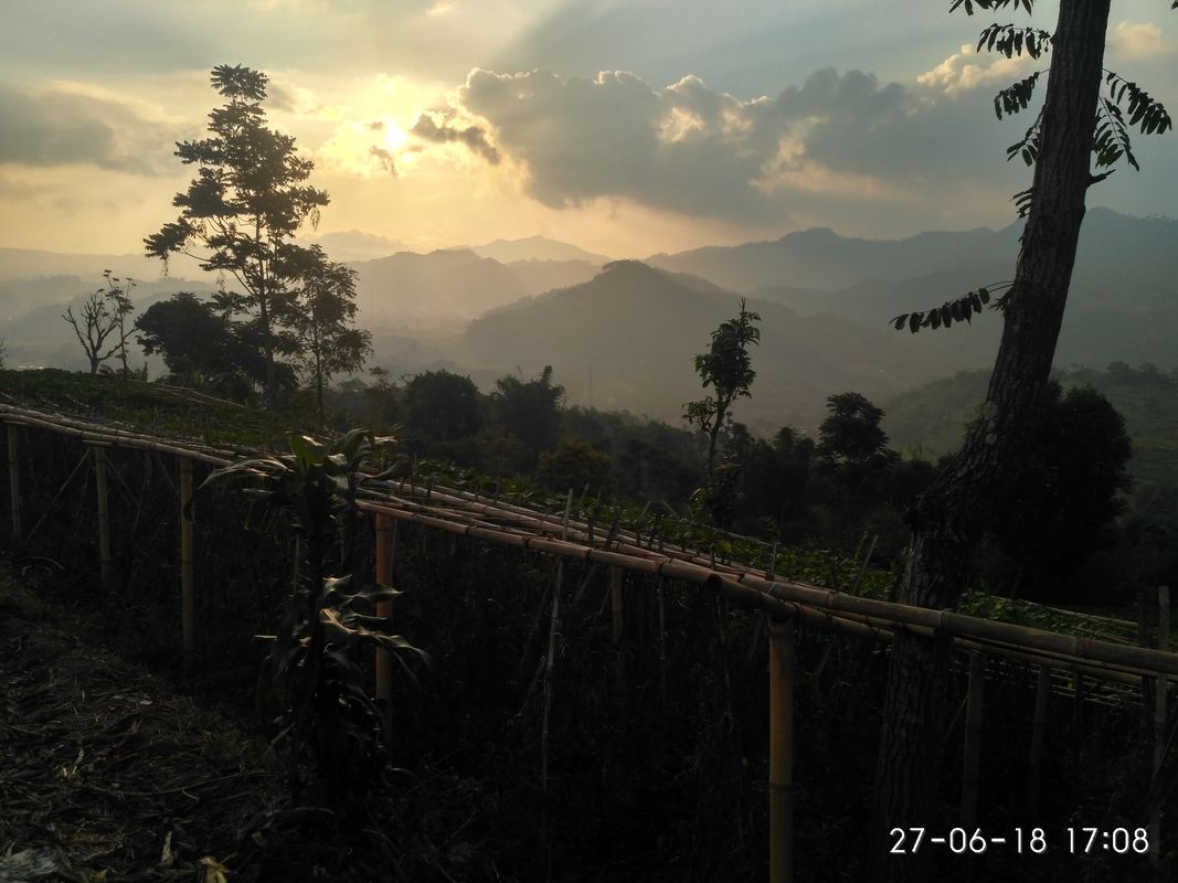 trek downhill sore