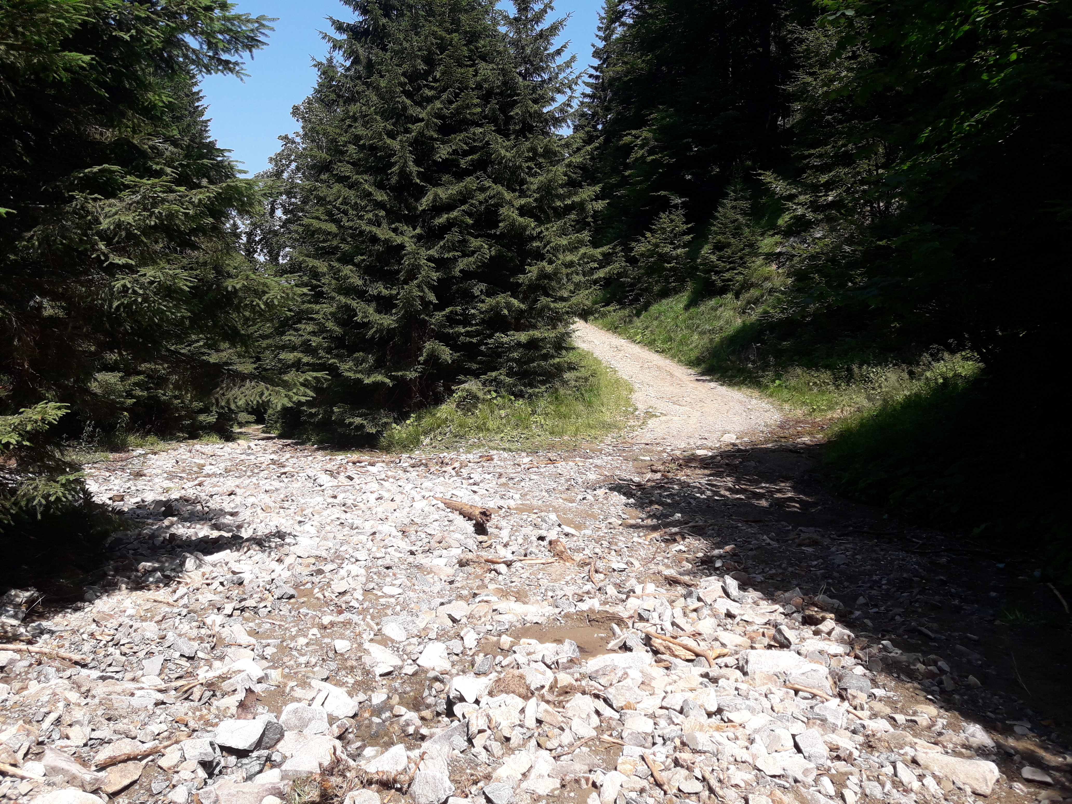 Highlight 6 along the Bikemap route "Čez Pohorje po KT"