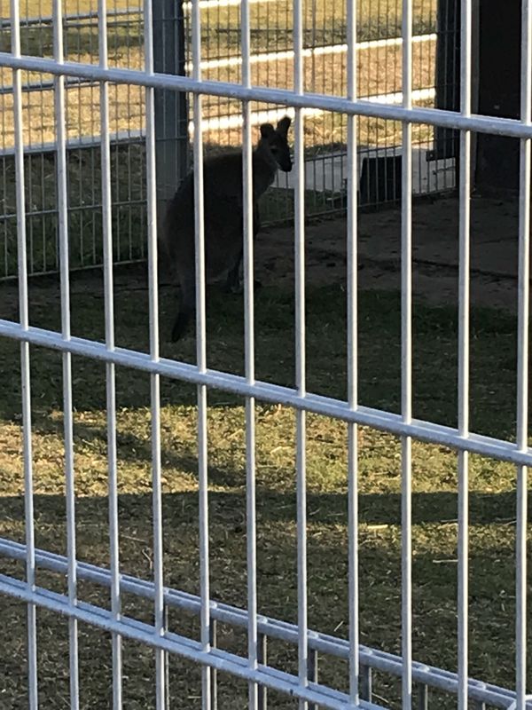 Spred Out Donnerstag Course In Alpen