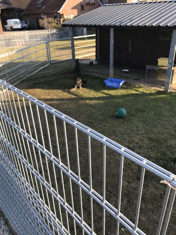 Spred Out Donnerstag Course In Alpen