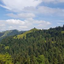 Wasen-Hinterarni