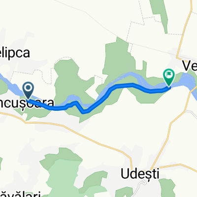 bucata experimentala mcs