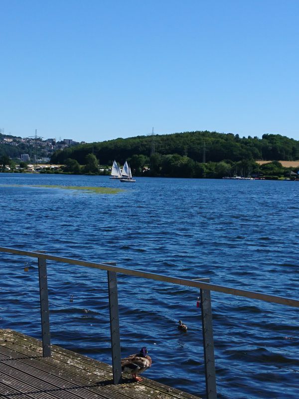 Harkortsee-Hengstenysee Tour