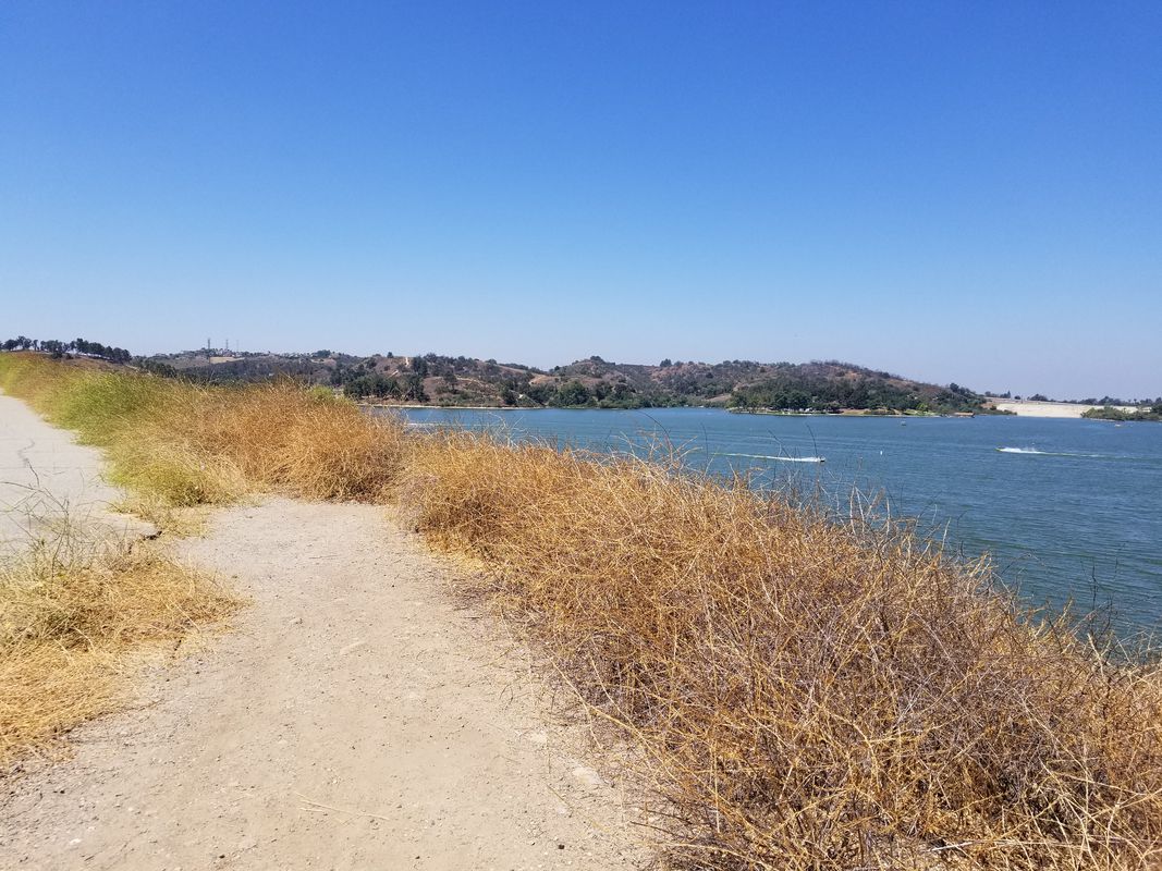 bonelli park