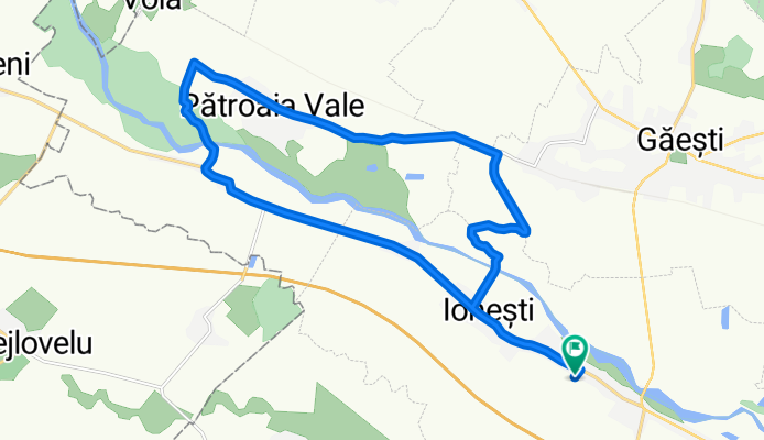 Patroaia