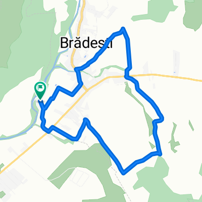 Bringasuli tábor terepezes