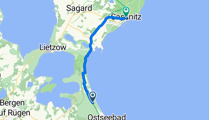 binz saanitz