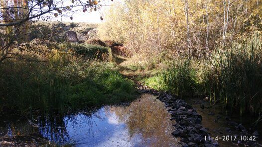Zona de Picón