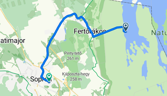 Fertő tour back