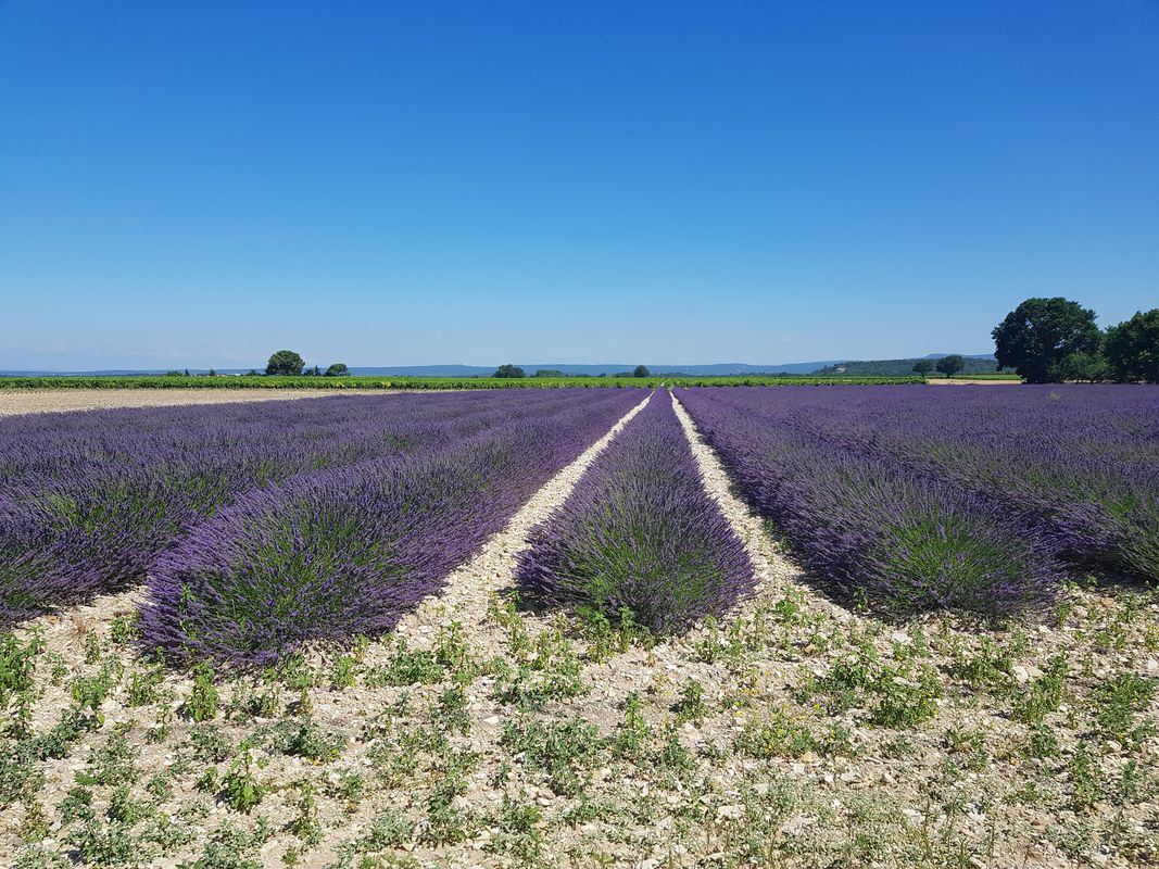 Visan bouchet baume richerenches  valreas
