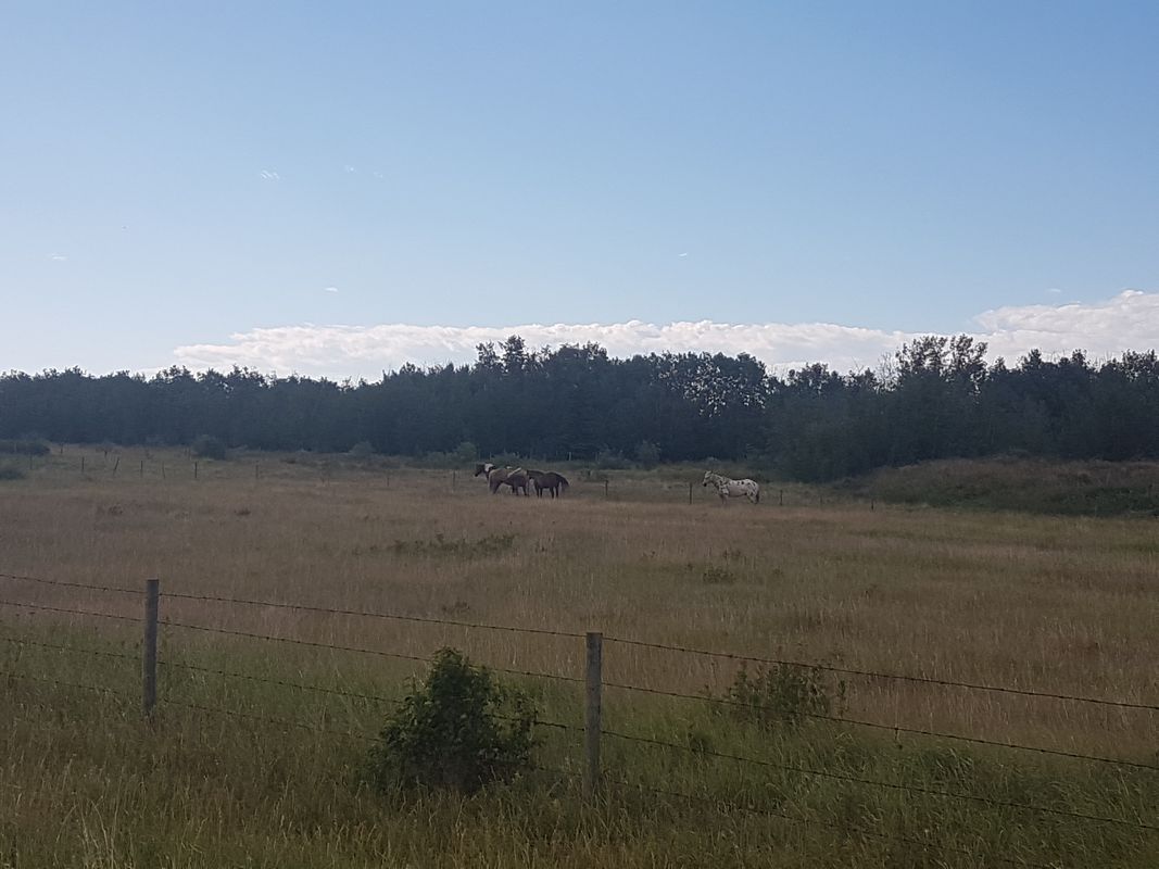 There and Back 54km