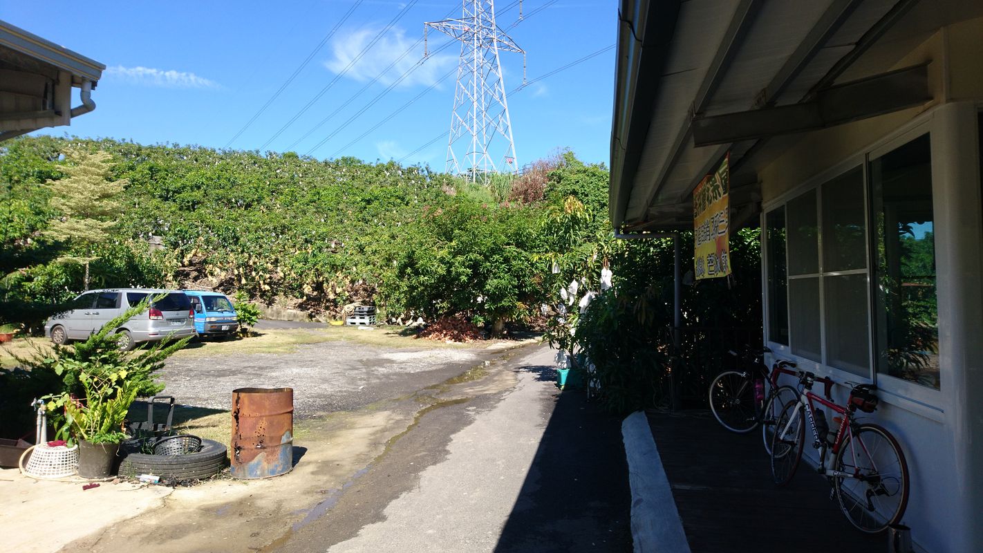 仁德到玉井層林