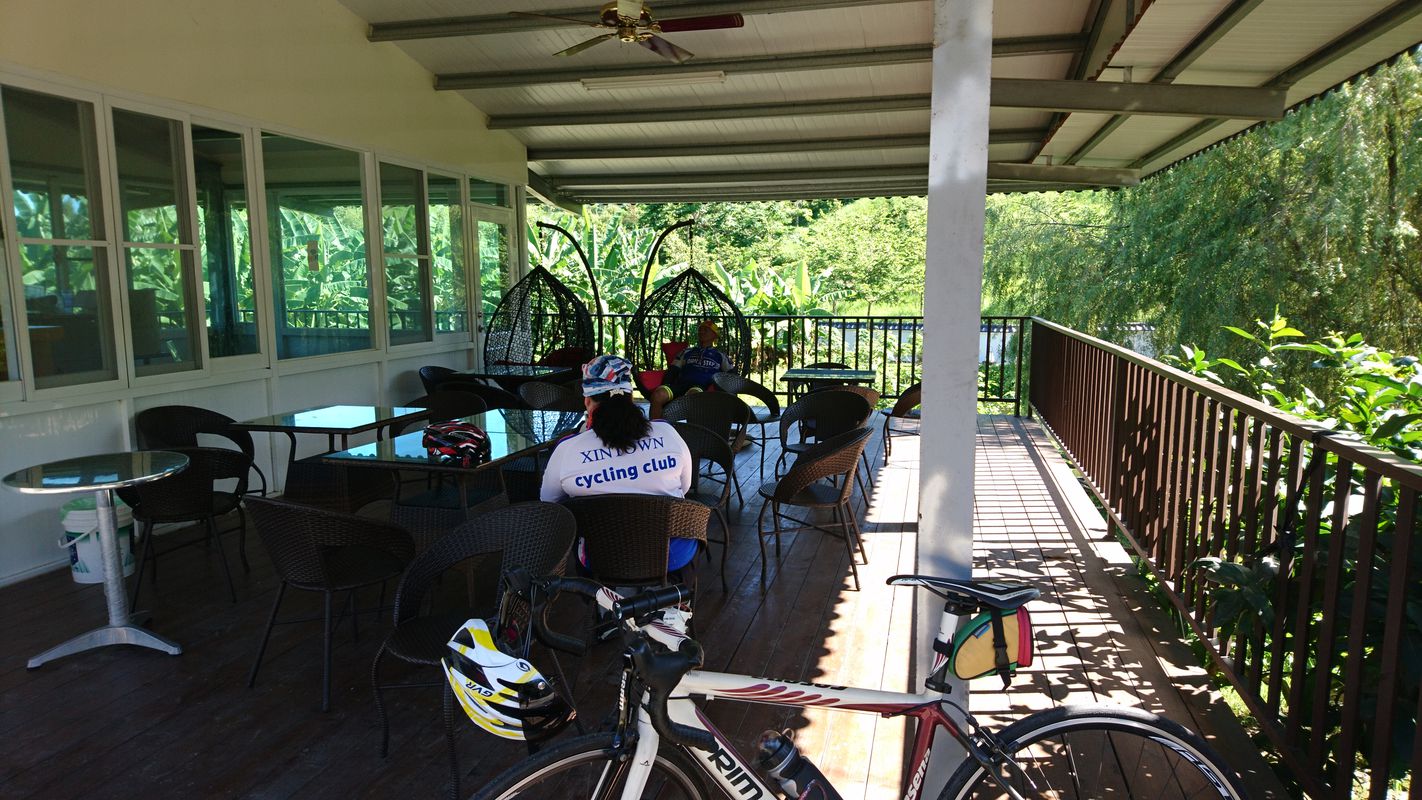 仁德到玉井層林