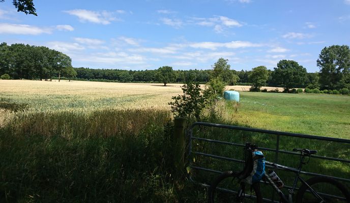 Zdjęcie 2 trasy Bikemap „Himmelmoor”