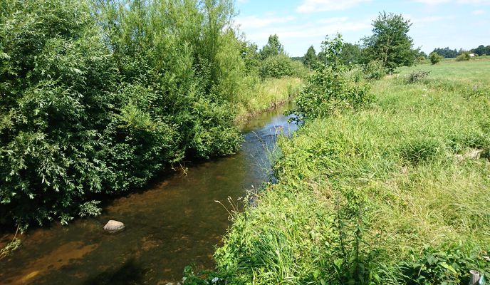 Zdjęcie 1 trasy Bikemap „Himmelmoor”