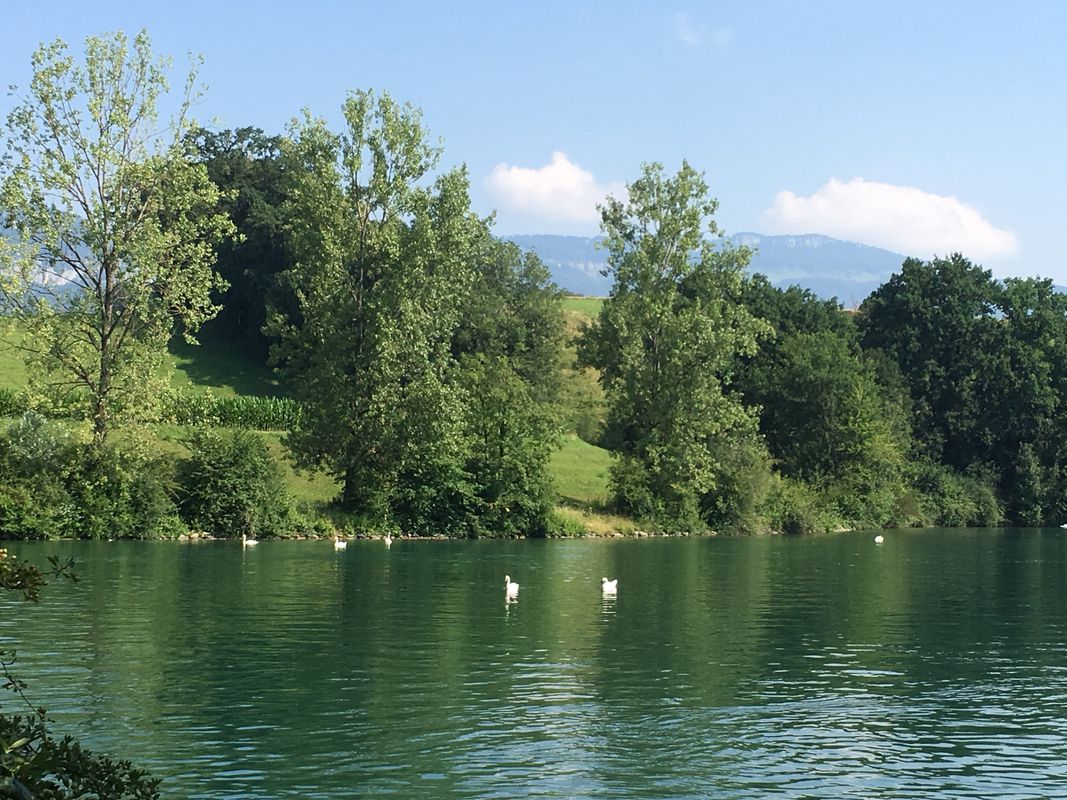 Spred Out Sonntag Course In Selzach