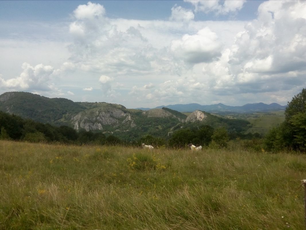Bacaia Drumul vietii